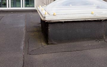 disadvantages of Port Dundas flat roofs