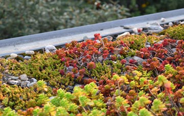 the cost of Port Dundas green roof installation