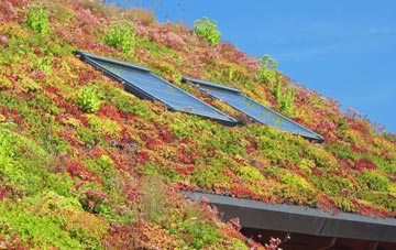 Port Dundas living roof systems