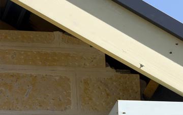 soffit repair Port Dundas