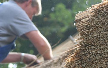 professional Port Dundas thatchers