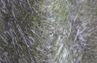 Port Dundas fibreglass roof work